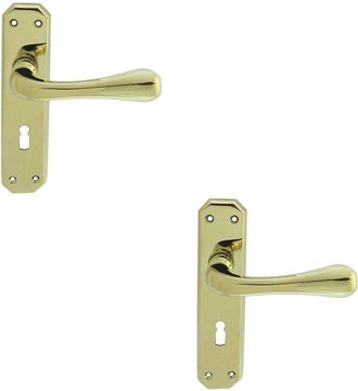 Loops 2x PAIR Heavy Duty Handle on Angular Lock Backplate 180 x 40mm Stainless Brass