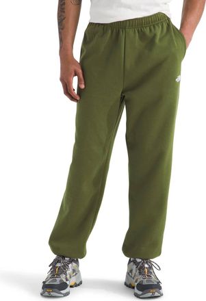 The North Face Evolution Simple Dome Pant In Woodland Green