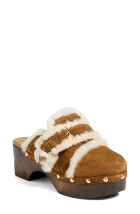 Cinq &agrave; Sept Wrenley Genuine Shearling Buckle Clog in Golden Sienna at Nordstrom, Size 10.5Us