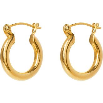 Freya Rose Gold Mini Hoops at Nordstrom