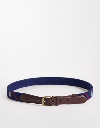 Polo Ralph Lauren Cintura blu navy multicolore con logo bear