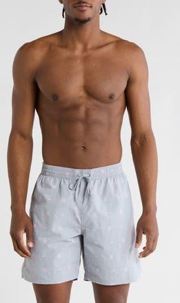 Nike 7-Inch Volley Swim Trunks in Wolf Grey at Nordstrom Rack, Size Xx-Large