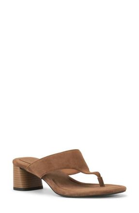 Vagabond Evie Block Heel Flip Flop in Cocoa Brown at Nordstrom, Size 10Us