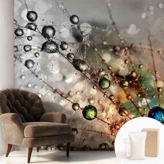 Tulup Carta Da Parati Non Tessuto - Decorazione Da Muro - Traspirante - Con Motivo - Per Camera Da Letto Cucina Io Metto Gioielli Di Rugiada 250x250 Cm