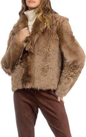 Gorski Genuine Shearling Reversible Jacket in Dark Camel at Nordstrom, Size X-Small
