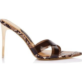 Jessica Rich The Coco Mule in Snake at Nordstrom, Size 36