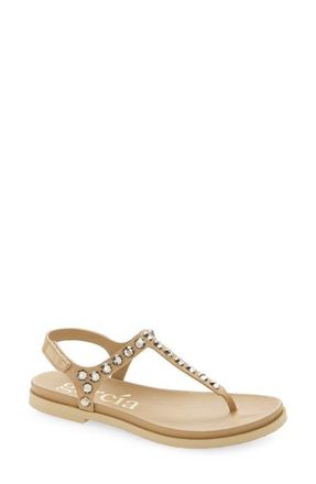 Pedro Garcia Judith Crystal Stud Sandal in Dijon Castoro-Greige at Nordstrom, Size 10.5Us