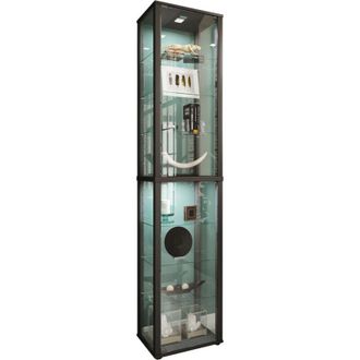ebuy24 Ebuy24 - Vetrina in vetro vcm in piedi Vetrina vetrata con vetro di sicurezza esg Dimensioni ca. a. 227 x l. 50 x p. 38 cm Vetrina in vetro Moderno e