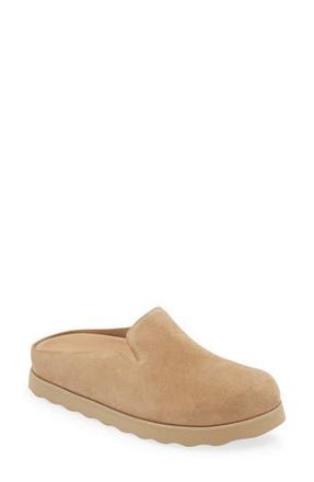 Vince Carmel Clog in Dune at Nordstrom Rack, Size 8
