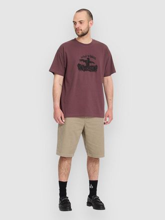 Volcom Freazy Loose EW 22 Pantalones Cortos