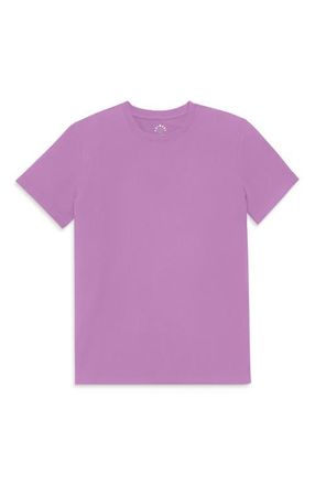 primary Adult Classic Tee in Lavender at Nordstrom, Size X-Large