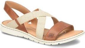 B&oslash;rn Barbe Strappy Sandal in Brown Combo at Nordstrom Rack, Size 11