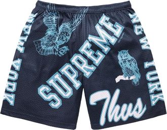 SUPREME Varsity mesh shorts - Blue