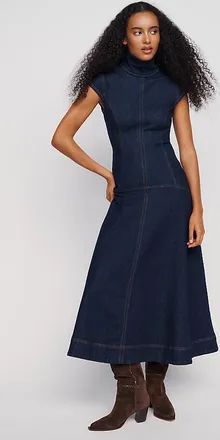 Aligne Monroe Godet Denim Maxi Dress