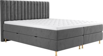 Mirjan24 Cama Continental Comfidream Fjorina, Fresh 32, Continental, Doble, 160x200, Tapiz, Somieres, 168x210x118cm