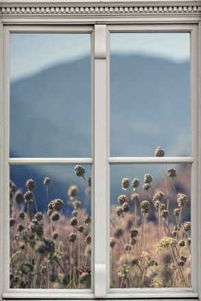 Queence Wandsticker »Planzen« Wandsticker, Wandbild, selbstklebend, 3D, Fenster