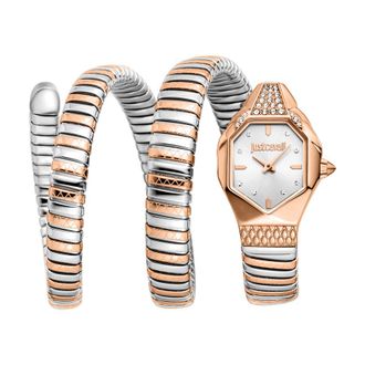 Just Cavalli Ambra Silver-tone Dial Ladies Watch JC1L370M0065