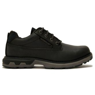 CAT Pursue Lo Schoenen