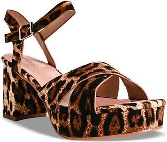 Touch Ups Toby Ankle Strap Platform Sandal in Leopard at Nordstrom, Size 5.5