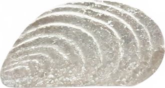 Aran&aacute;z Womens Mussel Clutch In Pearl