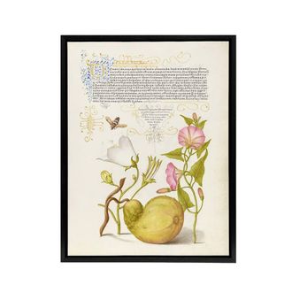 Artery8 Beetle Flowers & Gourd Calligraphy Framed Canvas Wall Art Print | Size: W24 x H32
