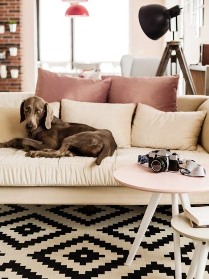 No cometas estos errores al comprar un sofá