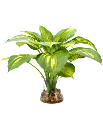 Creative Displays Inc. Green Eva Hosta Plant