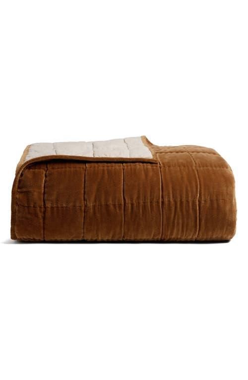 Hand Stitched Velveteen Quilt in Tobacco at Nordstrom, Size Full