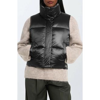 Noize Cropped Puffer Vest in Black at Nordstrom Rack, Size Small