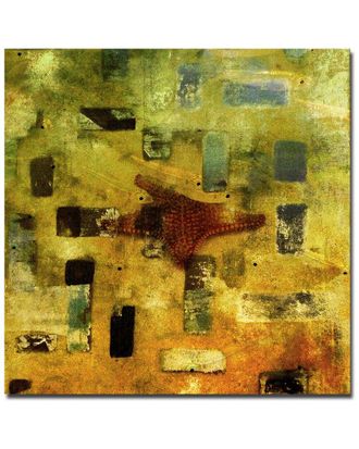 Ready2HangArt Ready2hangart Abstract Star Fish Wrapped Canvas Wall Art By Tristan Scott