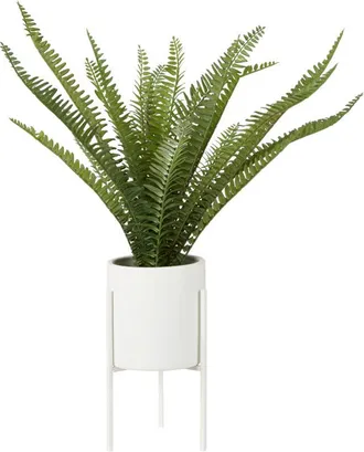 Premier Housewares Fiori Fern with White Cement and Iron Pot