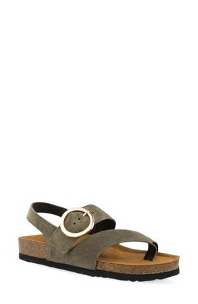 Naot Baltimore Slingback Sandal in Hunter Green Suede at Nordstrom, Size 10Us