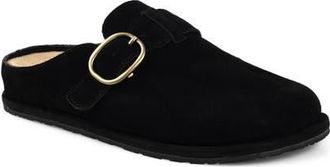 National Comfort Buckle Strap Clog in Black Suede at Nordstrom, Size 10