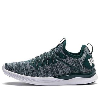 Puma (WMNS) PUMA Ignite Flash Evoknit Gray Green White 190511-16