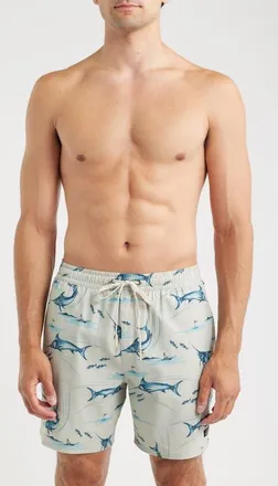 Quiksilver Mix Volley 17 Swim Trunks in Moonbeam at Nordstrom, Size Xx-Large