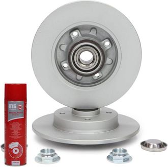 OEM Discos De Freno Con Rodamiento Trasero 2401090100bpr-pcs-ms 2 Uds