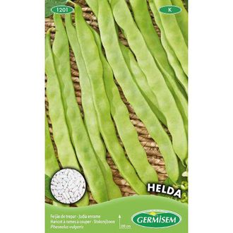 Costway Germisem Helda Semi di Fagiolo Rampicante 100 g