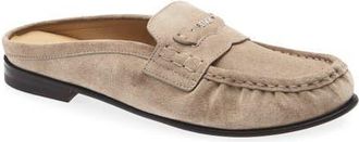 Fendi Scrunch Leather Mule in F0Qf5 Mud at Nordstrom, Size 36.5
