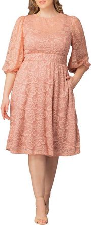 Kiyonna Hepburn Lace Cocktail Dress in Blush Pink at Nordstrom, Size 0X