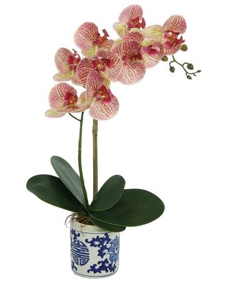 Creative Displays Inc. Pink Orchid Arrangement In Decorative Ceramic Vase