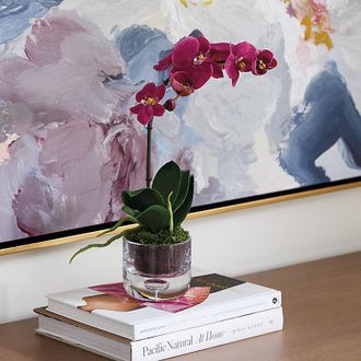 Ballard Designs Orchid Floral Arrangement in Vase - Ballard Designs