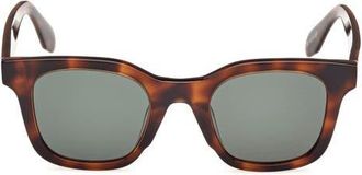 adidas 47MM Round Sunglasses in Dark Havana /Green at Nordstrom