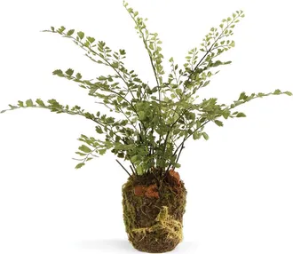 Napa Home & Garden Maidenhair Drop-In Artificial 13 in Green at Nordstrom