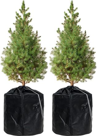 OEM Funda Protectora Invernal Para Plantas De Exterior: Juego De 2 Bolsas Anticongelantes Para Macetas, 45 X 55 Cm. Funda Protectora Invernal Para Macetas