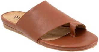 Softwalk Corsica 2.0 Toe Loop Sandal in Luggage at Nordstrom, Size 10.5