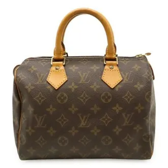 Louis Vuitton Pre-owned Handbags, female, Brown, Size: ONE SIZE Pre-owned Speedy25 Monogram Handbag
