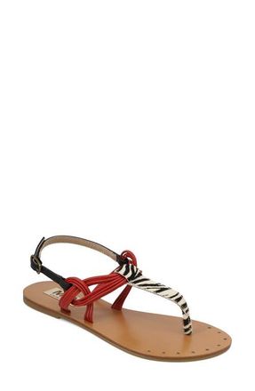 Mia Tazara Slingback Sandal in Zebra/Red/ at Nordstrom, Size 8.5