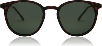 Montana Eyewear MP33 Polarized MP33D Mens Sunglasses Tortoiseshell Size 50