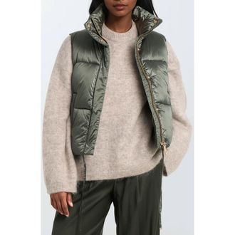 Noize Cropped Puffer Vest in Pine at Nordstrom Rack, Size X-Small