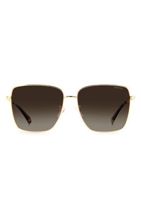 Polaroid 59mm Polarized Square Sunglasses in Gold Havana/brown at Nordstrom